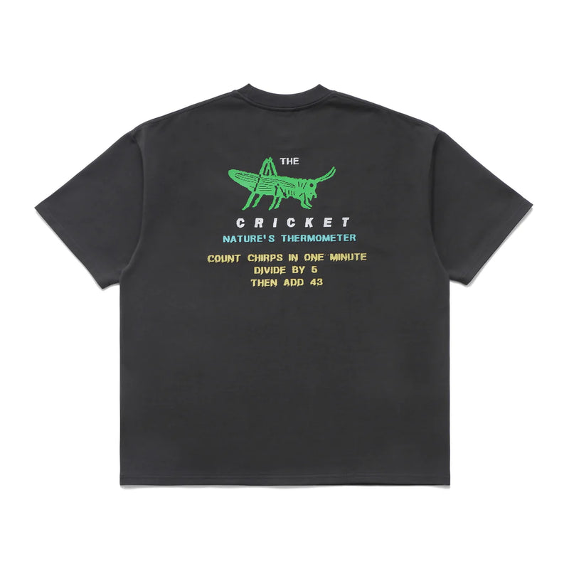 Cricket Heavyweight Pocket T Shirt - Tar