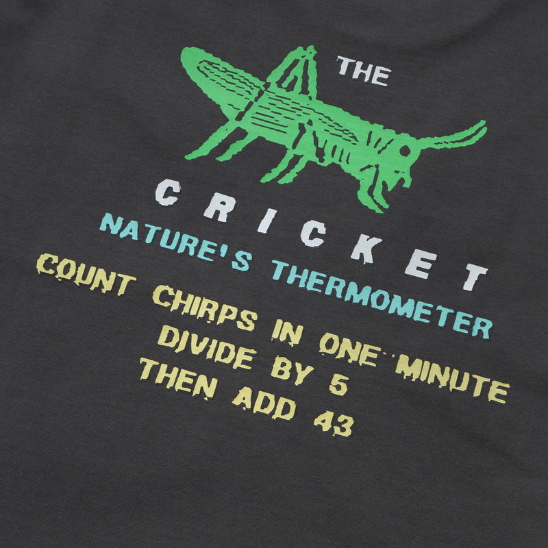 Cricket Heavyweight Pocket T Shirt - Tar