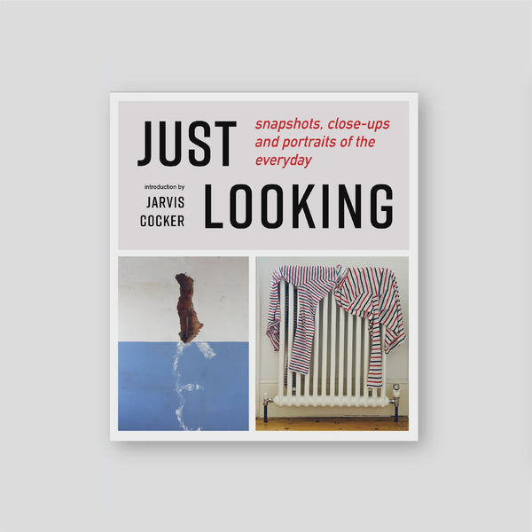 Just looking: snapshots, close-ups and portraits of the everyday