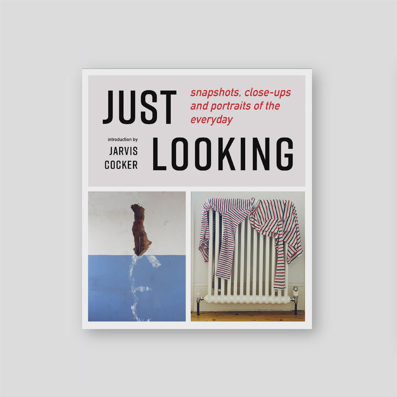 Just looking: snapshots, close-ups and portraits of the everyday