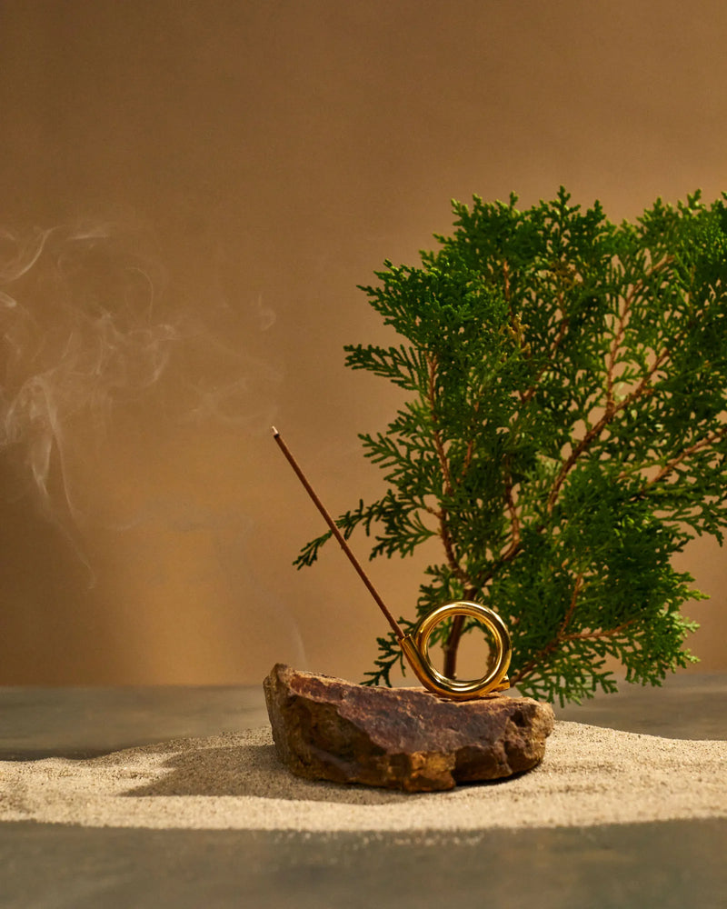 Taiwanese Hinoki