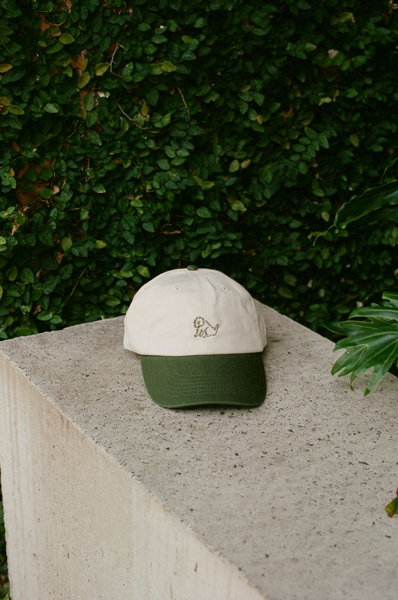 Nice Dog Cap - Kind Green