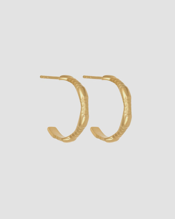 Amari Hoops - Gold Vermeil